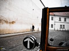 Tapeta National Geographic 709.jpg